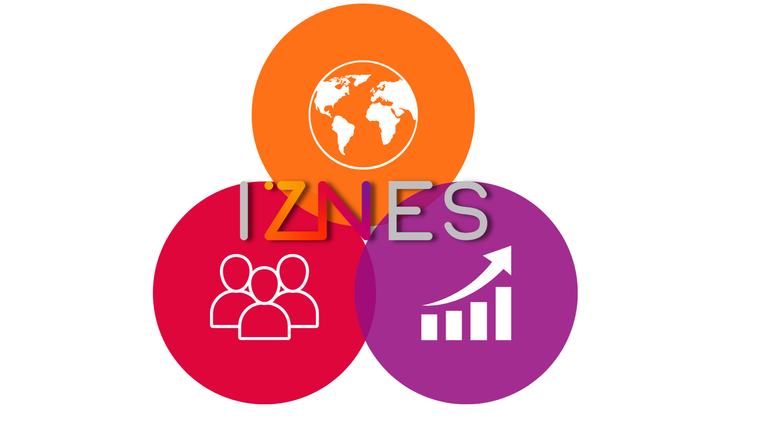 RSE IZNES
